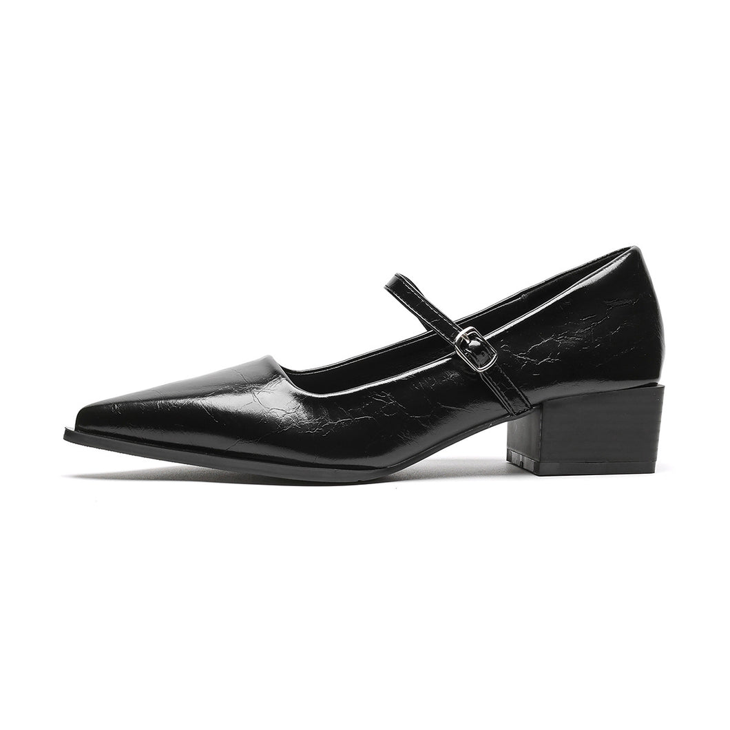 Ladies Pointed Elegant Shoes